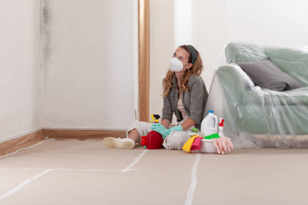 Reliable Mold Remediation contractor in Hawthorne, FL by 24 Hour Mold Removal